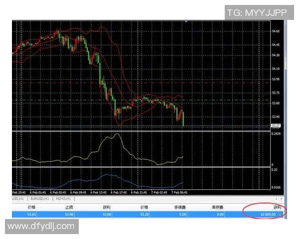 雷恩与里昂精彩对决视频直播全程回顾与分析